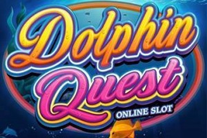 dolphin quest logo